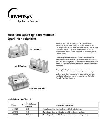 Electronic Spark Non-reig i.p65 - Toolbox.invensyscontrols.com