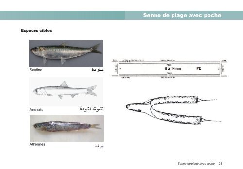 Guide des engins de pÃªche artisanale utilisÃ©s Ã  ... - Fao - Copemed