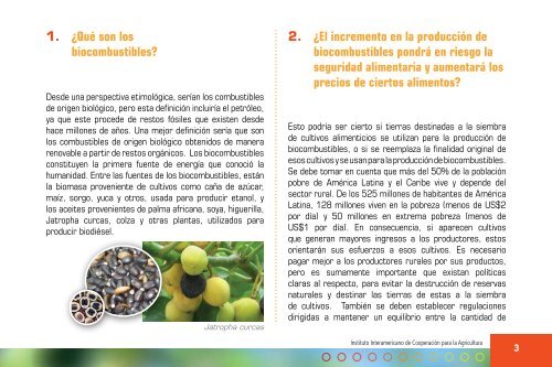 Preguntas y respuestas mÃ¡s frecuentes sobre biocombustibles