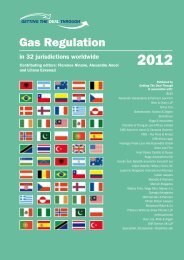 Gas Regulation - Fiebinger Polak Leon RechtsanwÃ¤lte