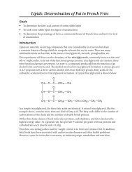 Lipids: Determination of Fat in French Fries