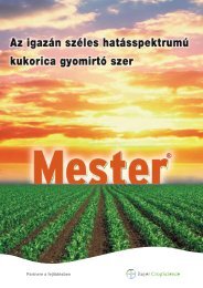 Mester - WEB-SET