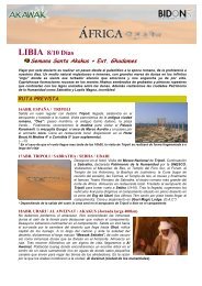 Libia. Akakus 16Abr - Bidon 5