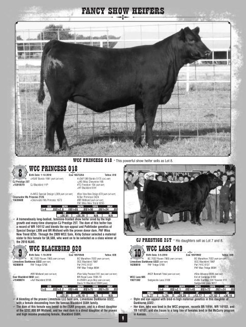 WALLACE CATTLE COMPANY - Angus Journal