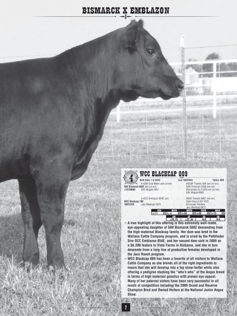 WALLACE CATTLE COMPANY - Angus Journal