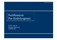 Fertilizasyon Pre-Embriyogenez