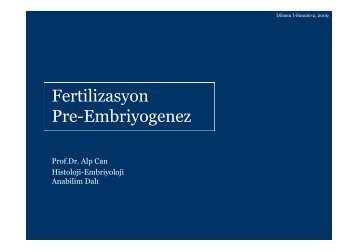 Fertilizasyon Pre-Embriyogenez