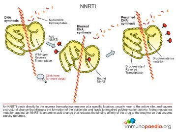 NNRTI .pdf - Immunopaedia