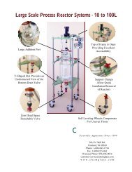 Large Scale Process Reactor Systems - 10 to 100L