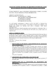 Compte rendu 09 fÃ©vrier - Commune de Castillon du Gard