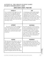 activity 2c: the origin of bone names student information cards