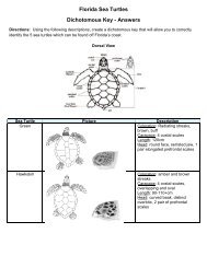 Florida Sea Turtles Dichotomous Key - Answers