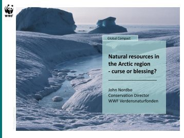 Natural resources in the Arctic region - Global Compact Nordic ...