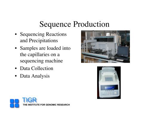 sequencing gap - Rice Genome Annotation Project