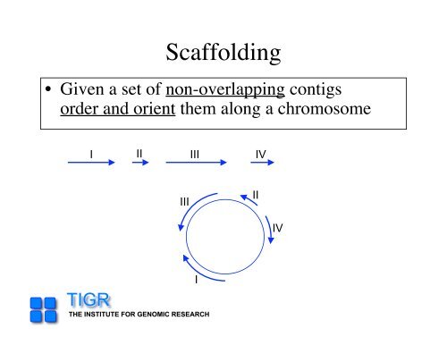 sequencing gap - Rice Genome Annotation Project