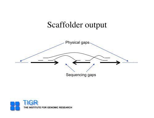 sequencing gap - Rice Genome Annotation Project