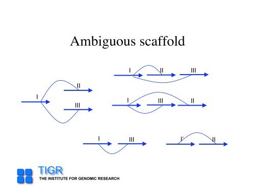 sequencing gap - Rice Genome Annotation Project