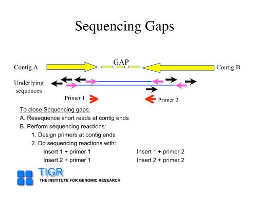 sequencing gap - Rice Genome Annotation Project