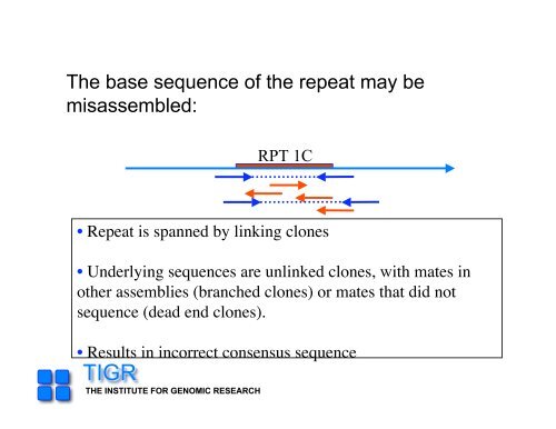 sequencing gap - Rice Genome Annotation Project