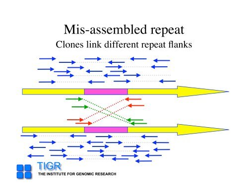 sequencing gap - Rice Genome Annotation Project