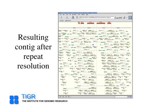 sequencing gap - Rice Genome Annotation Project