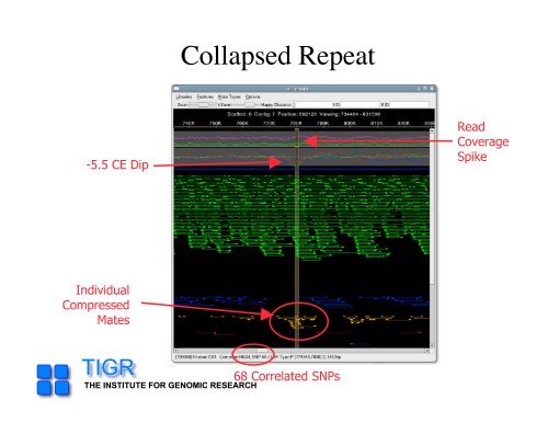 sequencing gap - Rice Genome Annotation Project