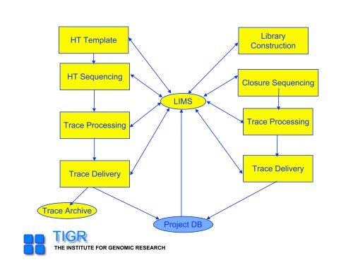 sequencing gap - Rice Genome Annotation Project