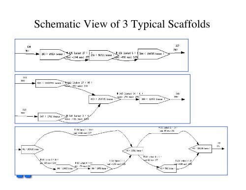 sequencing gap - Rice Genome Annotation Project