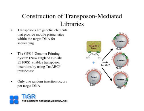 sequencing gap - Rice Genome Annotation Project