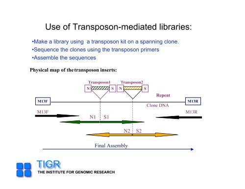 sequencing gap - Rice Genome Annotation Project