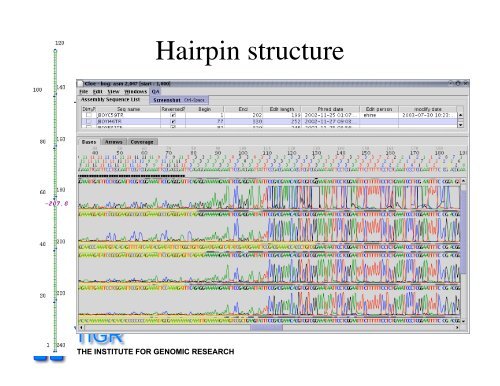 sequencing gap - Rice Genome Annotation Project