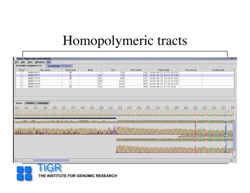 sequencing gap - Rice Genome Annotation Project