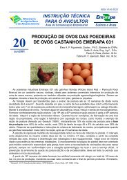 produÃ§Ã£o de ovos das poedeiras de ovos castanhos embrapa 031