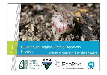 Orchid Recovery Project