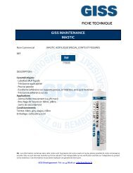 715834 FT GISS Mastic acrylique special joints et fissures