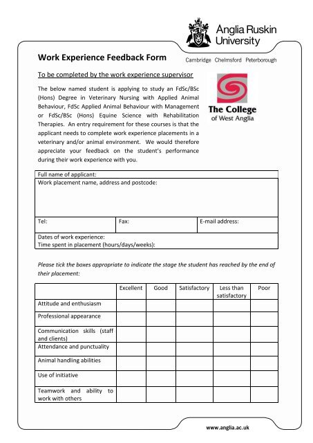 Work Experience Feedback Form