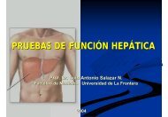 FUNCION HEPATICA - Facultad de Medicina UFRO - Universidad ...