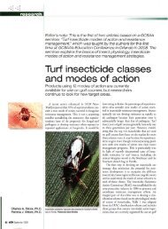 Turf insecticide classes and modes of action - New York State ...