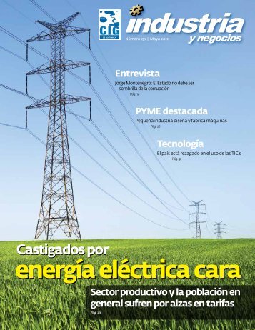 energía eléctrica cara - Revista Industria y Negocios – CIG