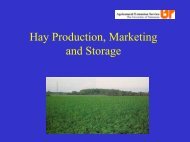 Hay Production, Marketing and Storage - March ... - UT Extension