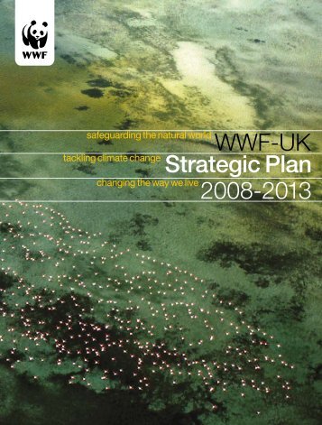 2008-2013 WWF-UK Strategic Plan