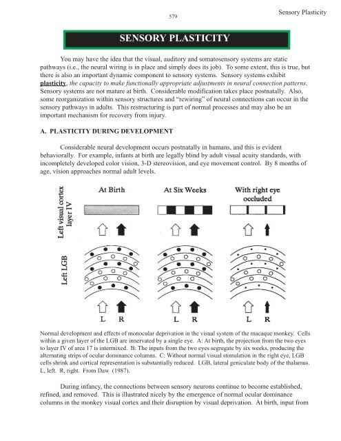 SENSORY PLASTICITY