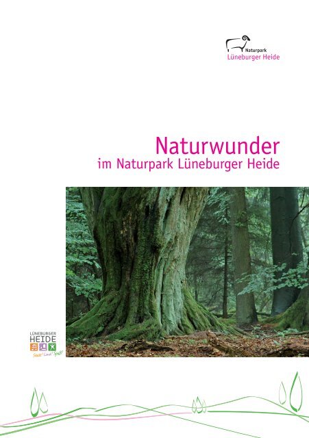 Naturwunder - Naturpark Lüneburger Heide