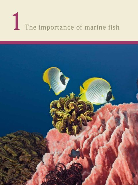 Download WOR 2 PDF - World Ocean Review