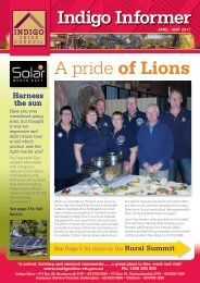 Indigo Informer A pride of Lions - Indigo Shire Council