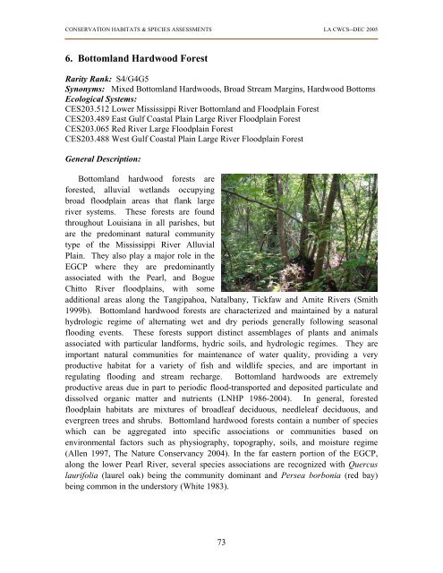 Bottomland Hardwood Forest - Louisiana Department of Wildlife and ...