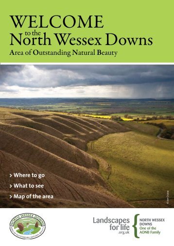 You can download a copy here - North Wessex Downs Area of ...