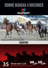 Program - Dalatravet