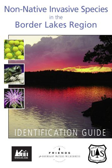 IDENTIFICATION GUIDE - Friends of the Boundary Waters Wilderness