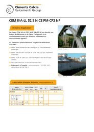 CEM II/A-LL 52,5 N CE PM-CP2 NF - Ciments Calcia